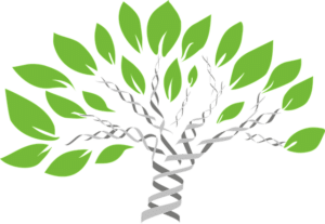 gene-tree-1490270_640